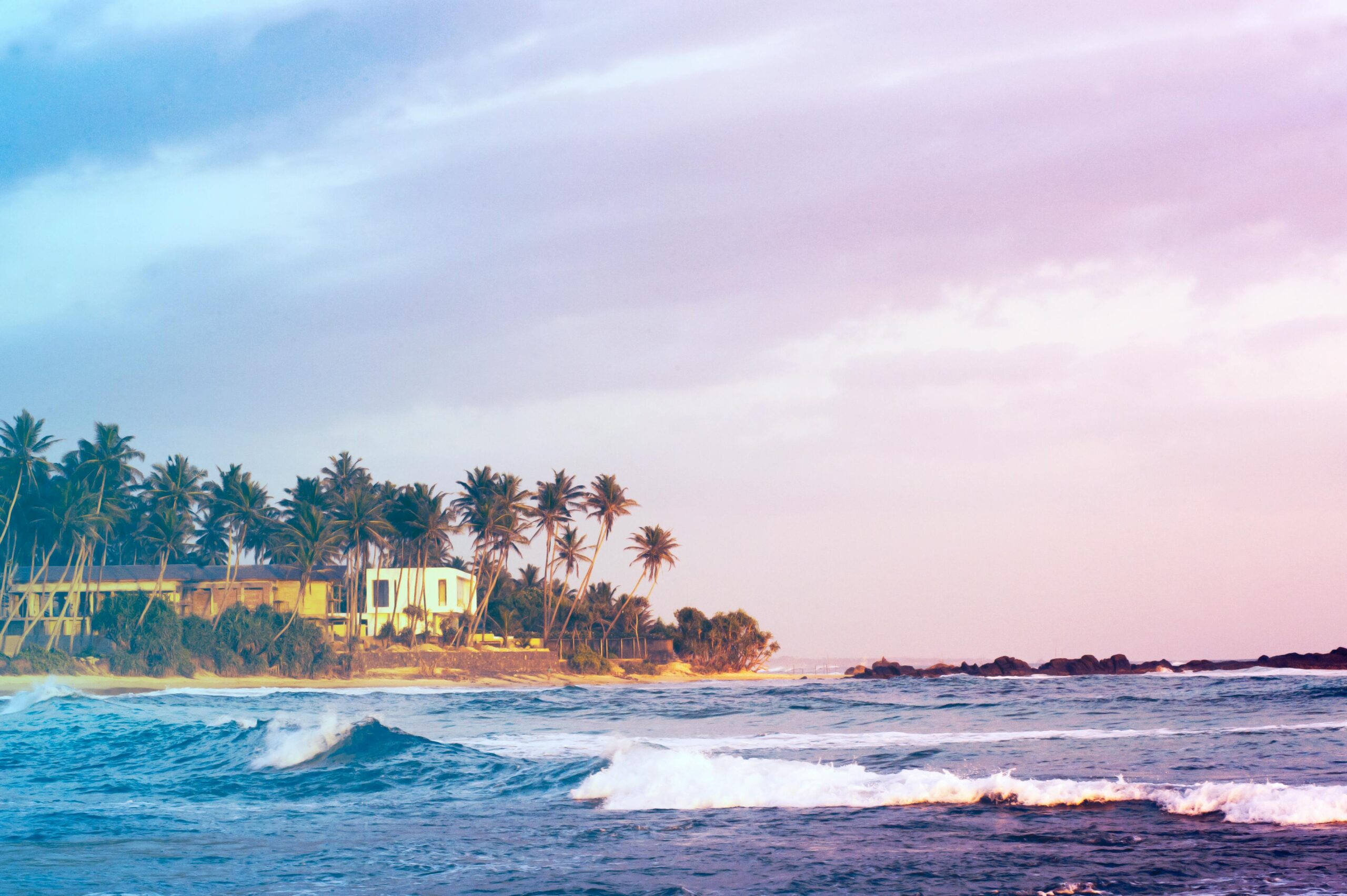 pexels-freestockpro-319941