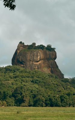 pexels-bilakis-19710787