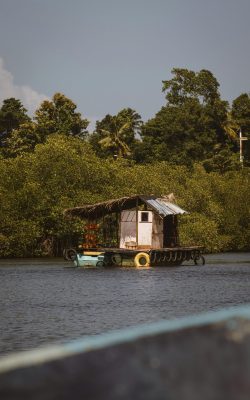 pexels-leefinvrede-18463834