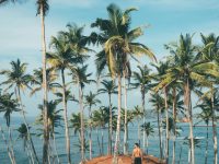 pexels-ollivves-1005417