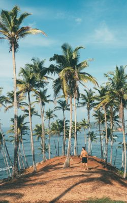 pexels-ollivves-1005417