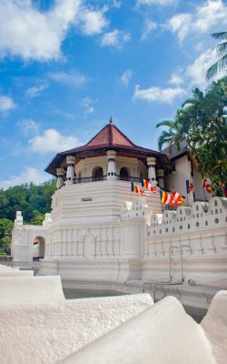 pexels-ruwan-lakmal-326724272-33404364