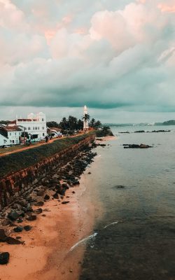 pexels-shainee-2933943