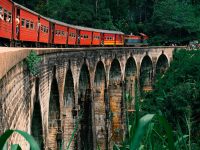 pexels-thegayescape-26620075