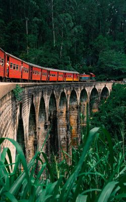 pexels-thegayescape-26620075