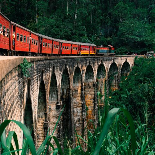 pexels-thegayescape-26620075